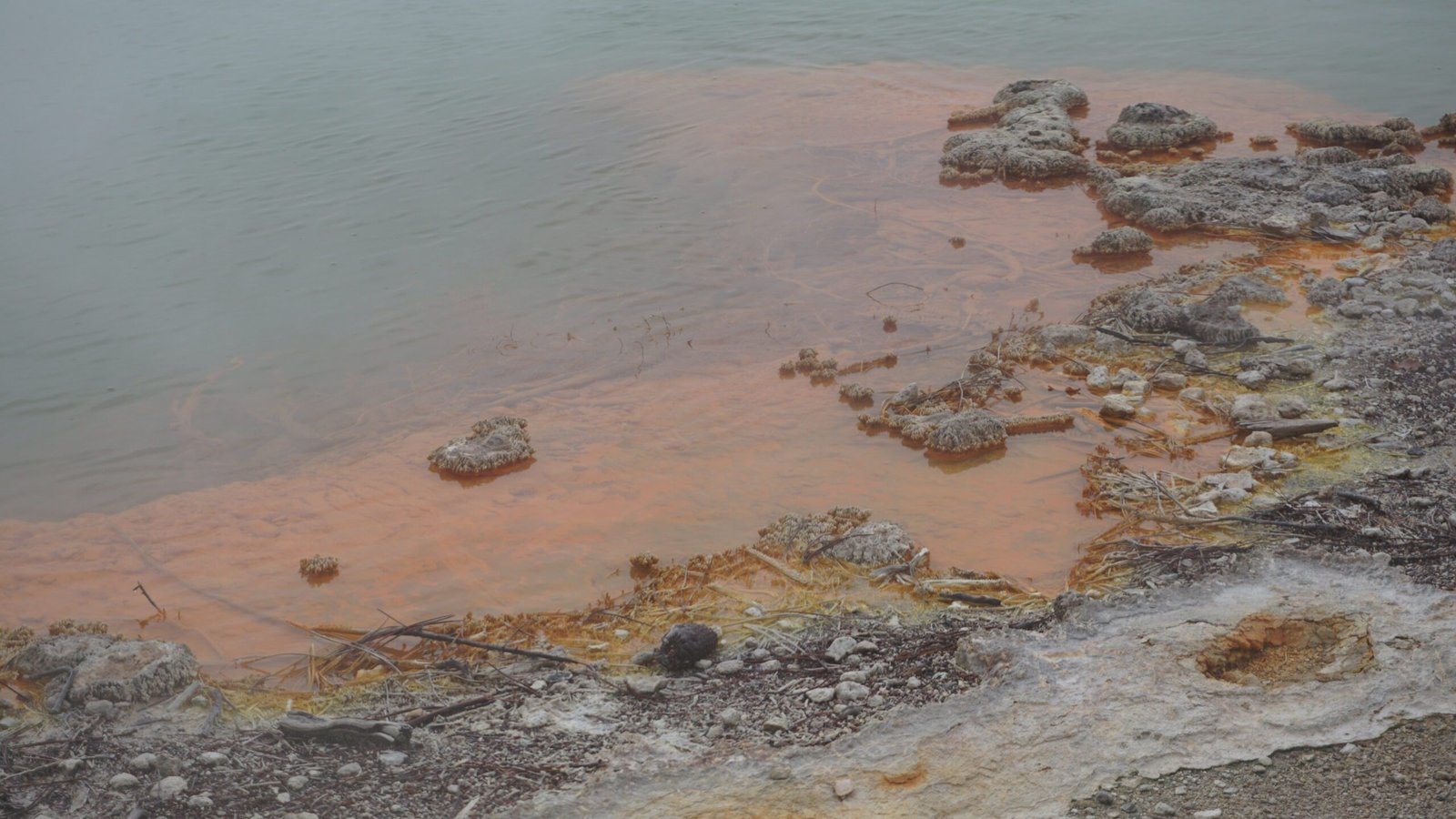 Waiotapu Thermal Wonderland, New Zealand