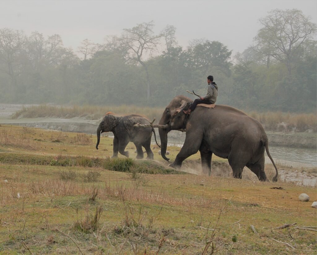 Bardia National Park, Nepal