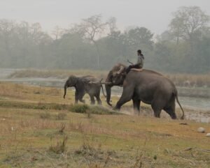 Bardia National Park, Nepal