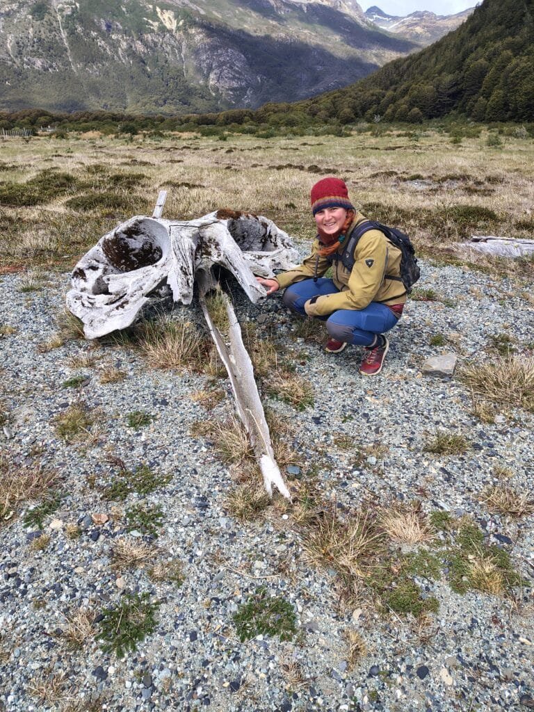 Whale remnants