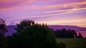 Home Away From Home: A Tiny Chilean Cabin With a Big Heart