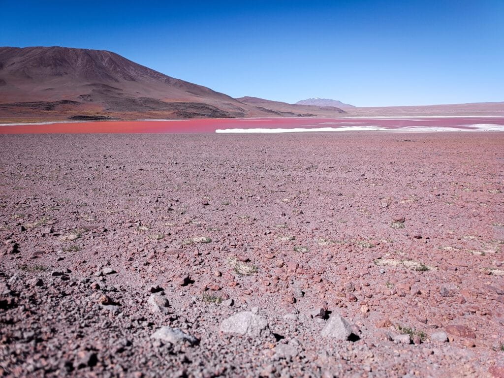 Laguna Colorada Bolivia