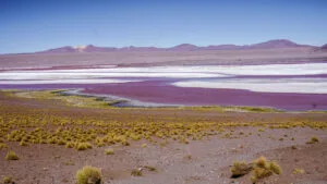 Laguna Colorada Bolivia